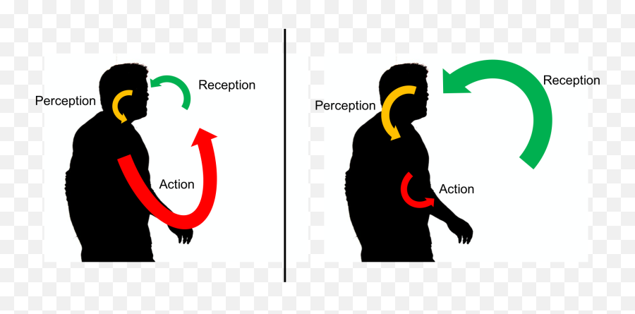 Filereception Perception Actionpng - Wikimedia Commons,Perceiving Icon