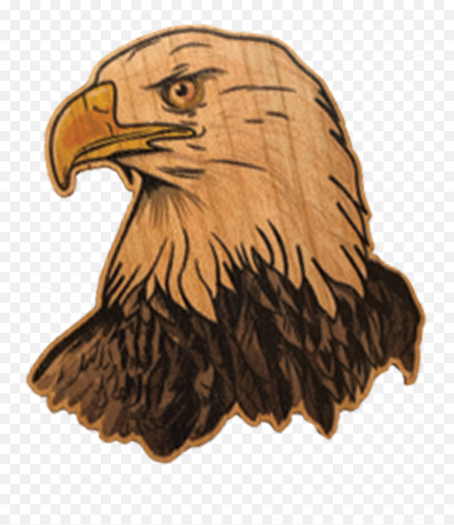 Bald Eagle - Bald Eagle Png,Bald Eagle Transparent