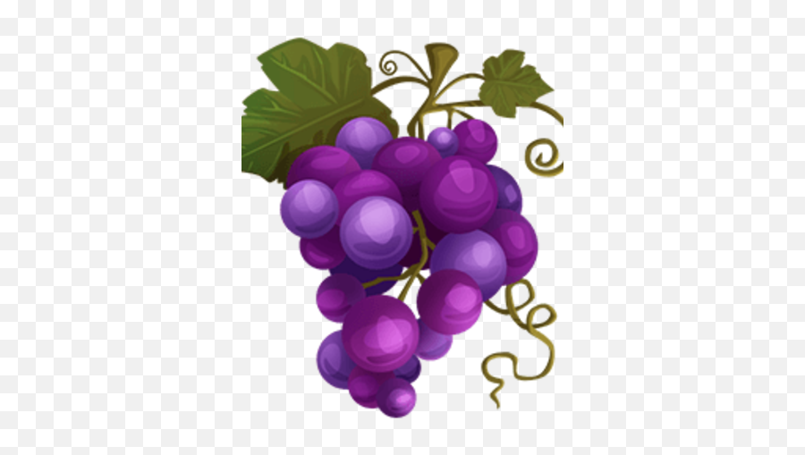 Grapes - Grape Png,Grapes Png