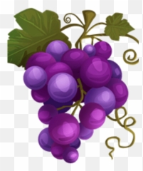 Grapes - Grape Png,Grapes Png