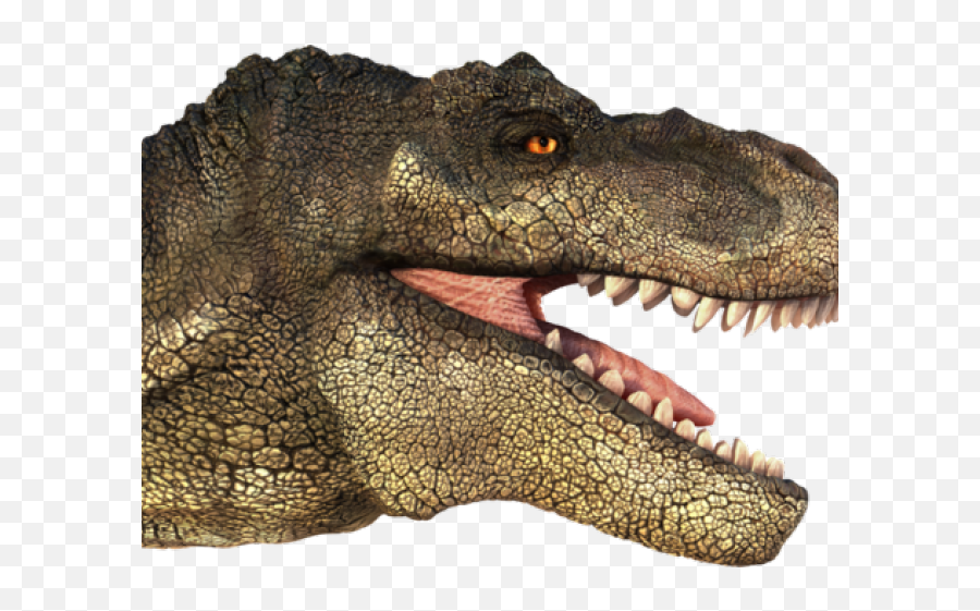 Tyrannosaurus Rex Clipart Transparent - T Rex Head Png,Tyrannosaurus Rex Png