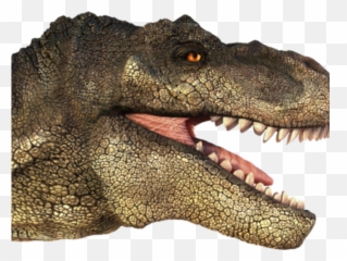Tyrannosaurus Rex Clipart Transparent - Head Png