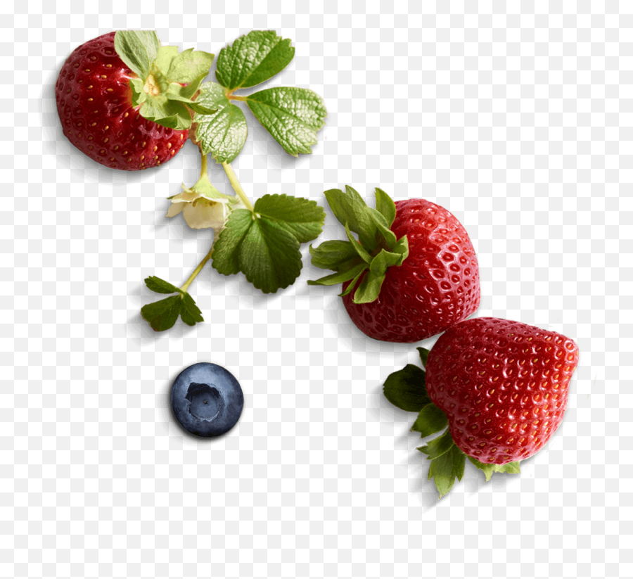 Bowl Of Strawberries Png - Fair Trade Berries,Berries Png