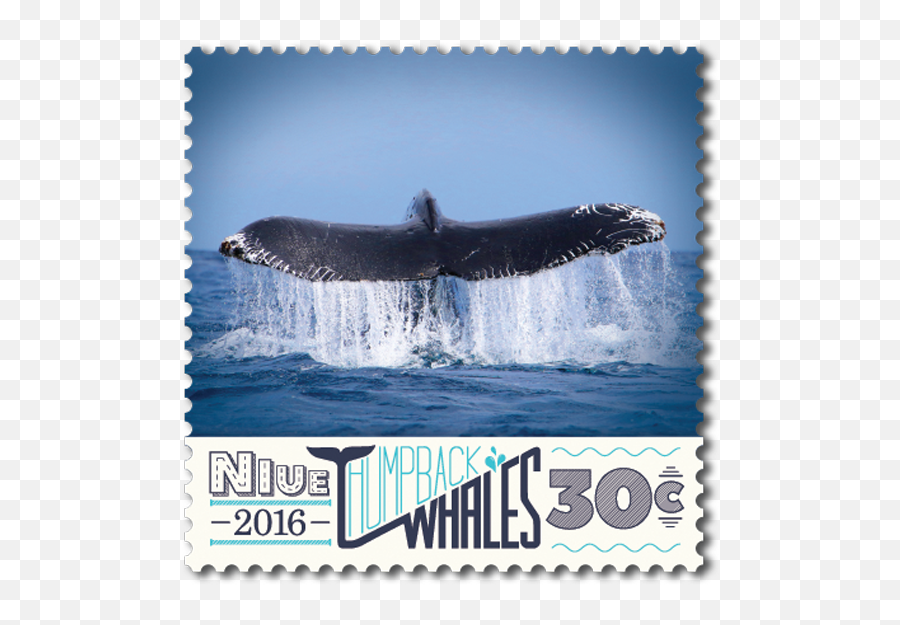Niue 2016 Humpback Whales New Zealand Post Stamps - Dolphin Png,Humpback Whale Png