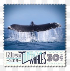 Niue 2016 Humpback Whales New Zealand Post Stamps - Dolphin Png,Humpback Whale Png