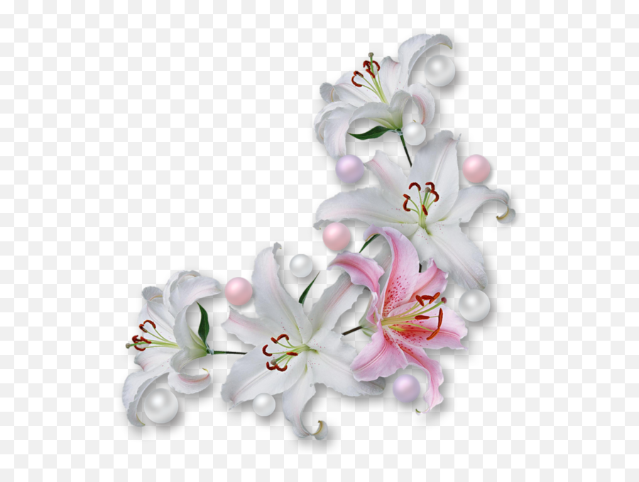 Gifs De Flores Com Fundos Transparentes Png Flowers - White Flower Corner  Images Png,Flores Png - free transparent png images - pngaaa.com
