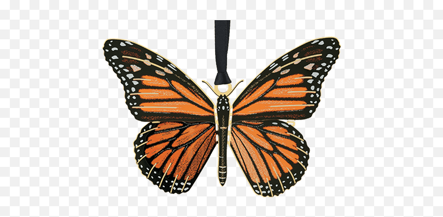 Monarch Butterfly - Monarch Butterfly White Background Png,Monarch Butterfly Png