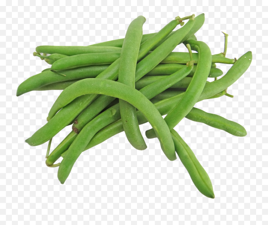 Green Bean Png 8 Image - Green Beans Transparent Background,Bean Png