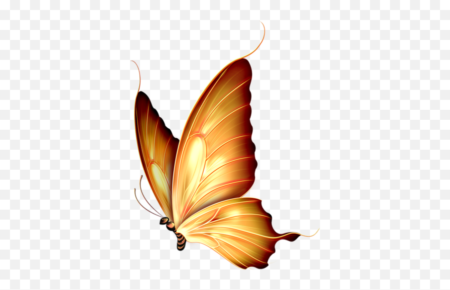 Download Autumn Gold - Beautiful Yellow Butterfly Png Transparent Background  Gold Butterfly,Yellow Butterfly Png - free transparent png images -  