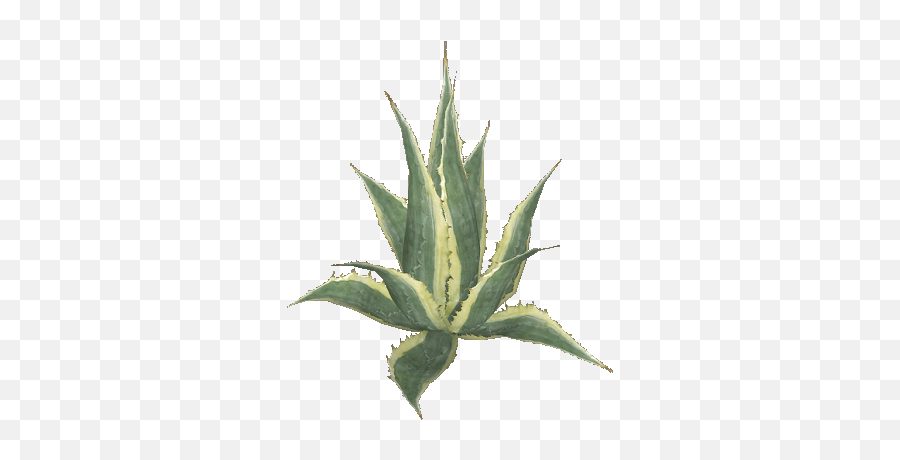 Zt2 Download Library Wiki - Agave Png,Agave Png