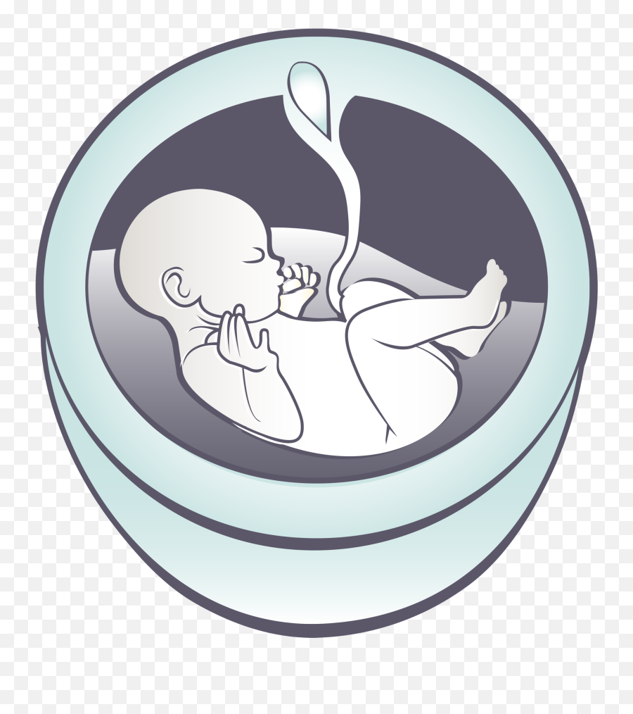 Fetus Png - Maternal Fetal Medicine Symbol,Fetus Png