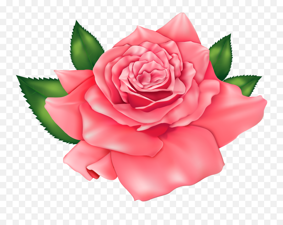 Pretty Rose Clipart - Rose Clip Art Flower Png,Pink Roses Png