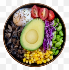 Download Avocado Vegetarian Bowl - Avocado Bowl Png,Avacado Png