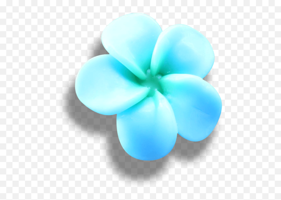 Blue Frangipani - Blue Frangipani Png,Plumeria Flower Png