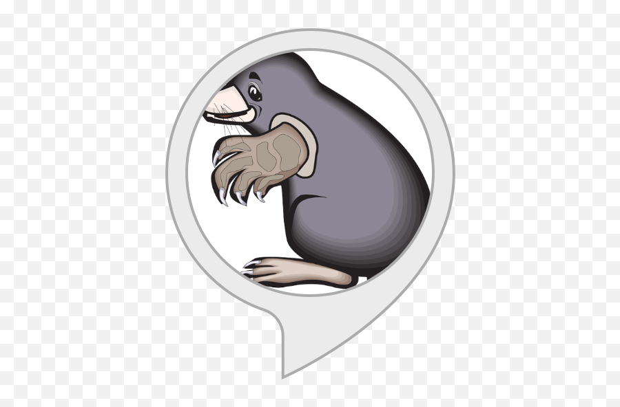 Amazoncom Mole Facts Alexa Skills - Mole Cartoon Png,Mole Png