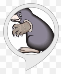 Amazoncom Mole Facts Alexa Skills - Mole Cartoon Png,Mole Png