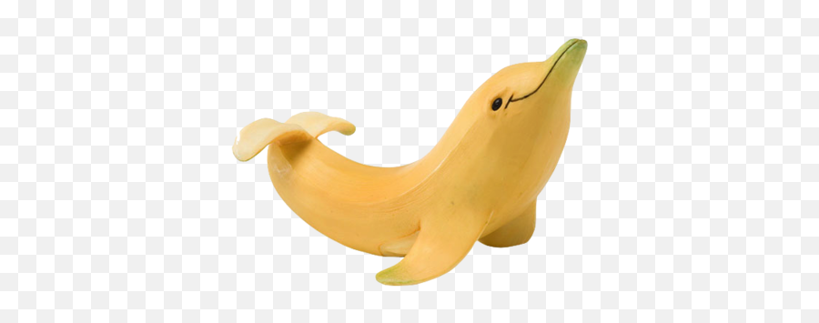 Image About Lol In Transparents By P A Y - Transparent Banana Dolphin Png,Dolphin Transparent
