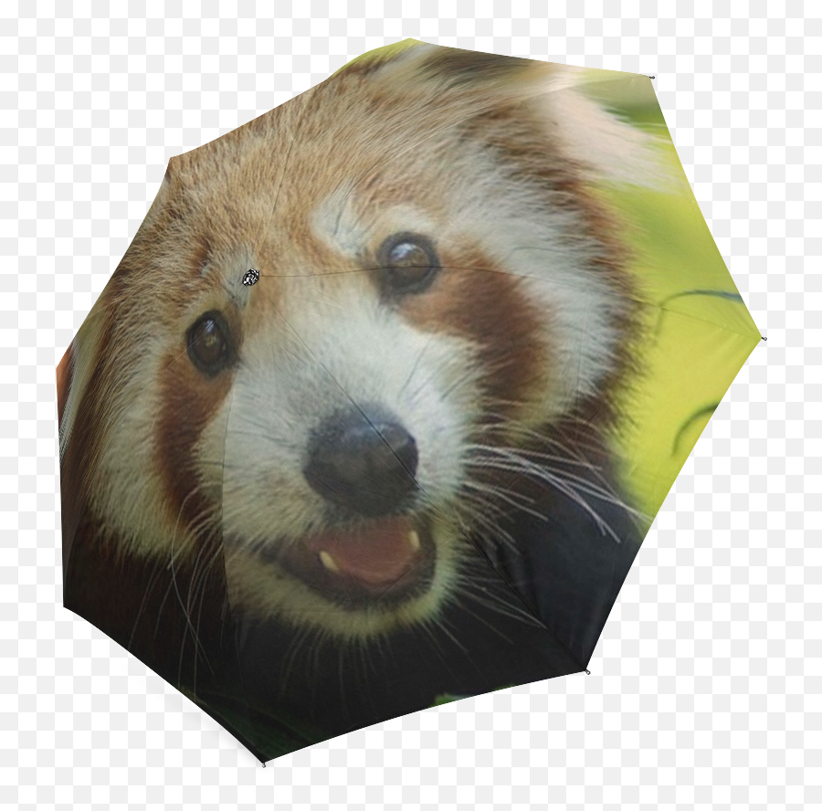 Red Panda Foldable Umbrella Model U01 Id D169723 Png