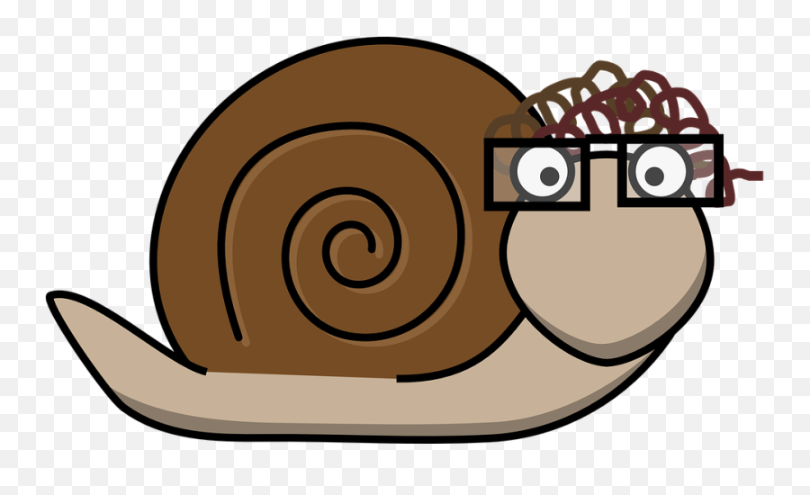 Snail Glasses Curls - Free Vector Graphic On Pixabay Snail With Glasses Png,Cartoon Glasses Transparent