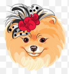 Dog Pomeranian Nose Clipart - Dog Clipart Animals Clip Art Happy Png,Pomeranian Png