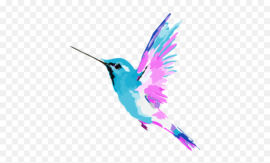 Greta Solomon - Hummingbird Png,Hummingbird Png
