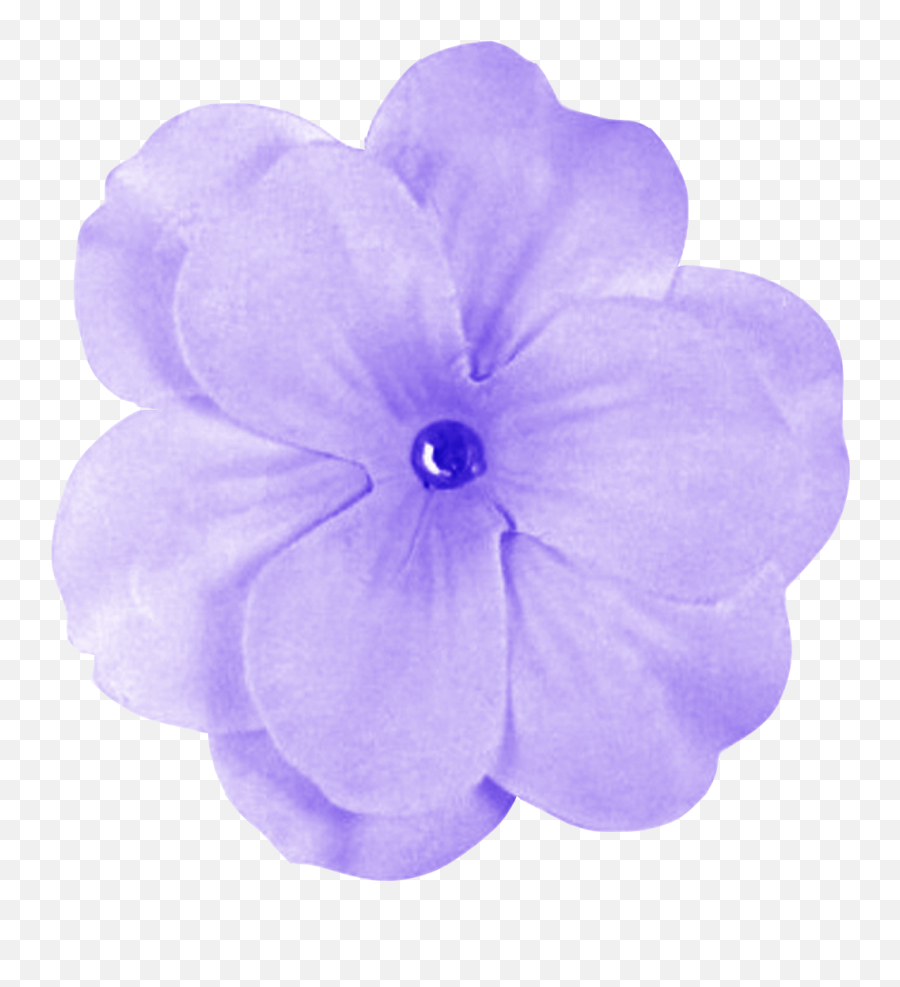 Purple Flower Latest Version 2018 - Purple Flower Transparent Background Png,Purple Flowers Png