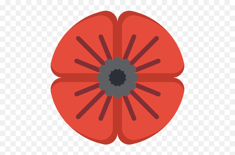 Poppy - Barberton Daisy Png,Poppies Png