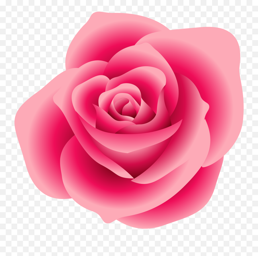Real Pink Rose Clipart - Pink Rose Clipart Png,Real Rose Png