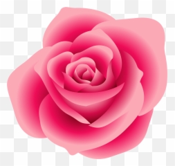 Real Pink Rose Clipart - Pink Rose Clipart Png,Real Rose Png
