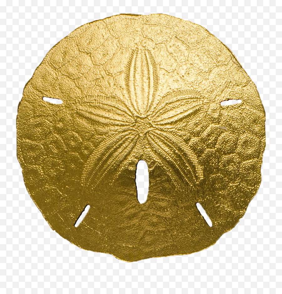 Coins U0026 Paper Money South Pacific Palau 2017 1 Sand Dollar - Golden Sand Dollar Png,Sand Dollar Icon