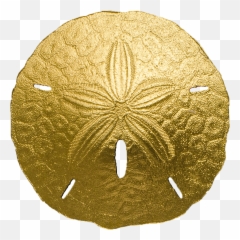 Coins U0026 Paper Money South Pacific Palau 2017 1 Sand Dollar - Golden Sand Dollar Png,Sand Dollar Icon