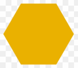 Social Media Management Honeypot - Orange Hexagon png