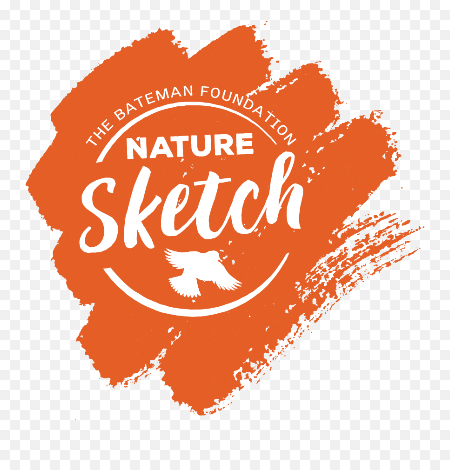 Nature Sketch - Language Png,Email Icon Sketch Png