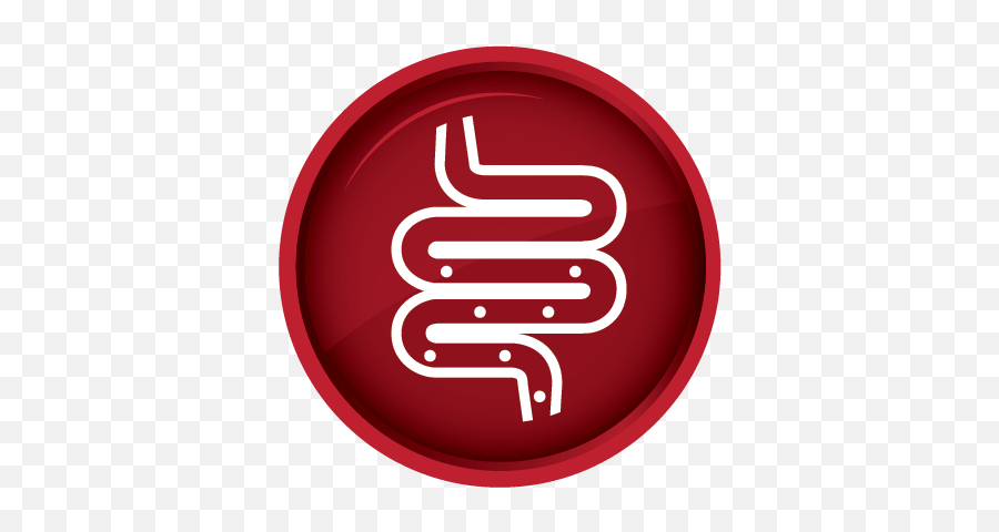 Digestive - Healthicon U2013 Personalised Nutrition Consultancy Healthy Gut Gut Icon Png,Health Icon Png
