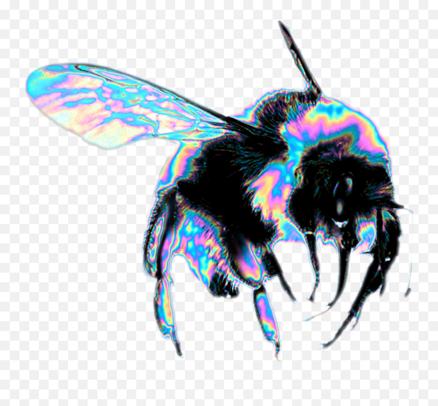 Bee Holographic Scbee Holo 268944635015211 By Dinaaaaaah - Bee Png,Pixel Honey Icon