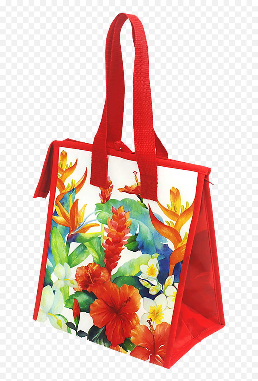 Insulated Lunch Bag - Assorted Designs Tote Bag Png,Lunch Bag Icon