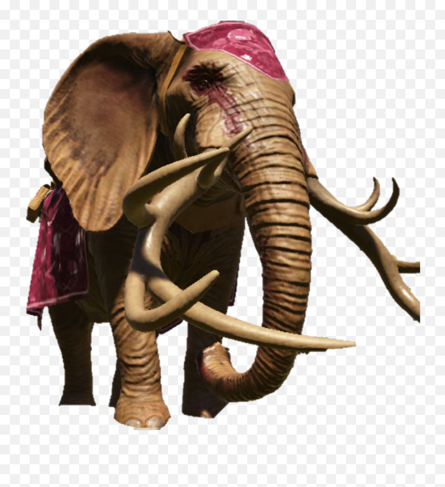 Elephant - Elephant With Large Tusk Png,Elephant Png