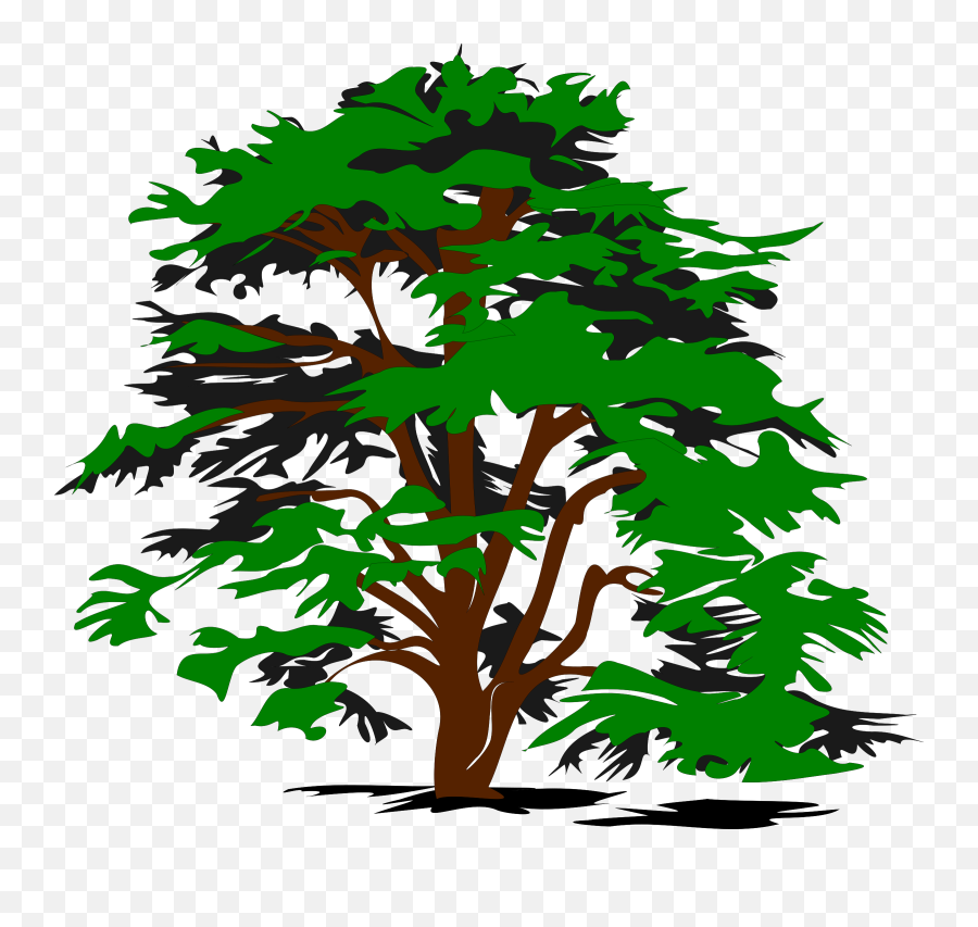 Free Cartoon Jungle Tree Download - Clipart Vector Tree Png,Jungle Tree Png