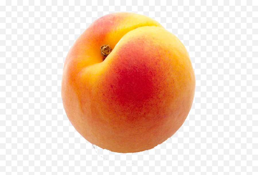 Peach Png Transparent Images Free Download Peaches