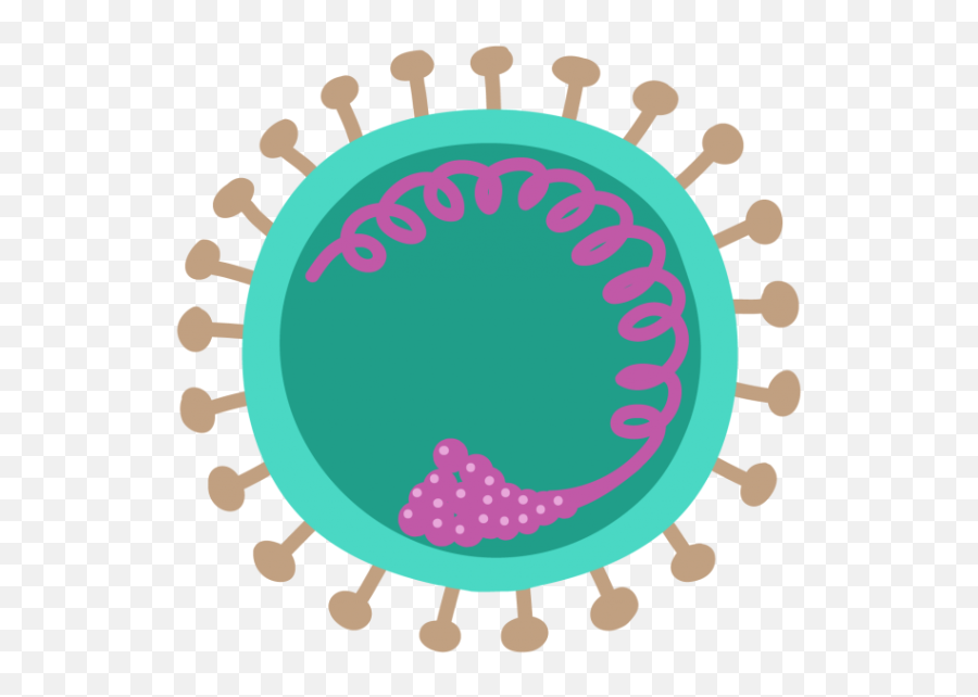 Nucleic Acid Test Covid - 19 Coronavirus Vs Antibody Png,Antibody Icon