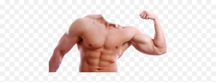 Muscle Png - Muscular Body Transparent Background,Muscles Png