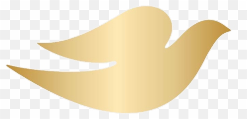 Dove Logo - Illustration png