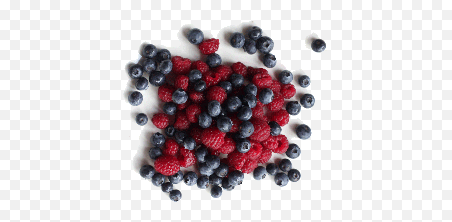 Berries Png High Quality Image - Bilberry,Berries Png