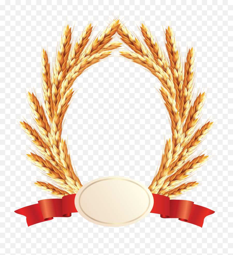 Wheat Png - Transparent Wheat Logos,Wheat Transparent Background