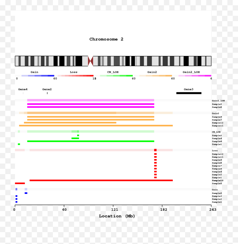 Download Chromosome View Per Type With Overlaps And Genes - Screenshot Png,Chromosome Png