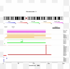 Download Chromosome View Per Type With Overlaps And Genes - Screenshot png