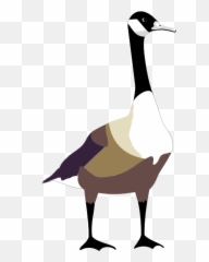 Goose Clip Art - Vector Clip Art Online Canadian Goose Cartoon Png,Goose Png