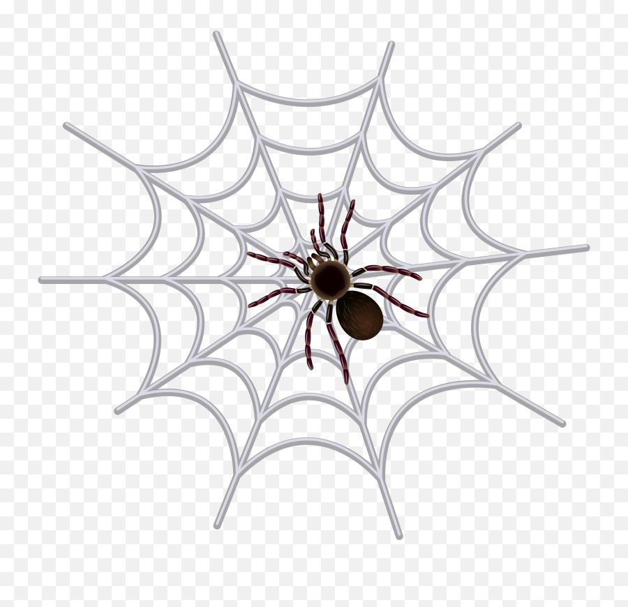 Spider Web Png In High Resolution - Draw A Spider Web,Spider Web Png