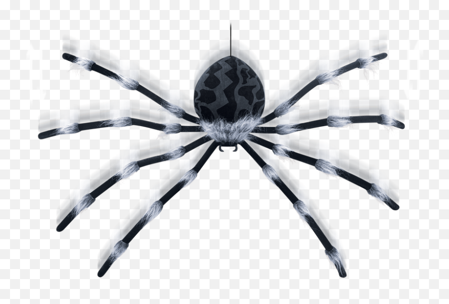 Download Hd Large Shaking Spider - Holiday Transparent Png Insect,Spiderwebs Png