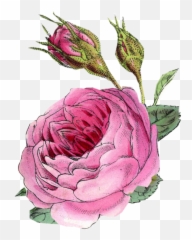 Paper Crafts - Rose png